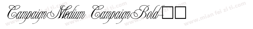 CampaignMedium CampaignBold字体转换